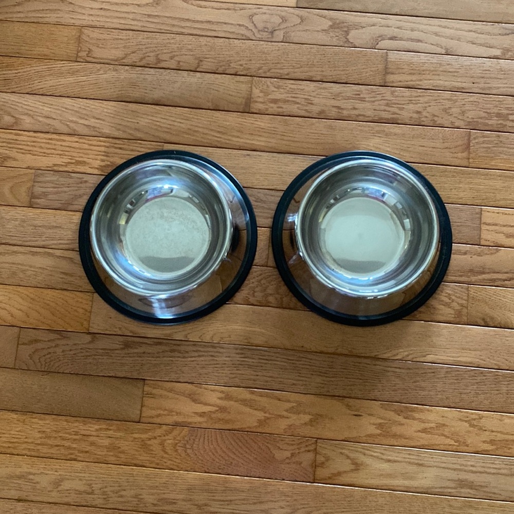 Two stainless steel dog bowls